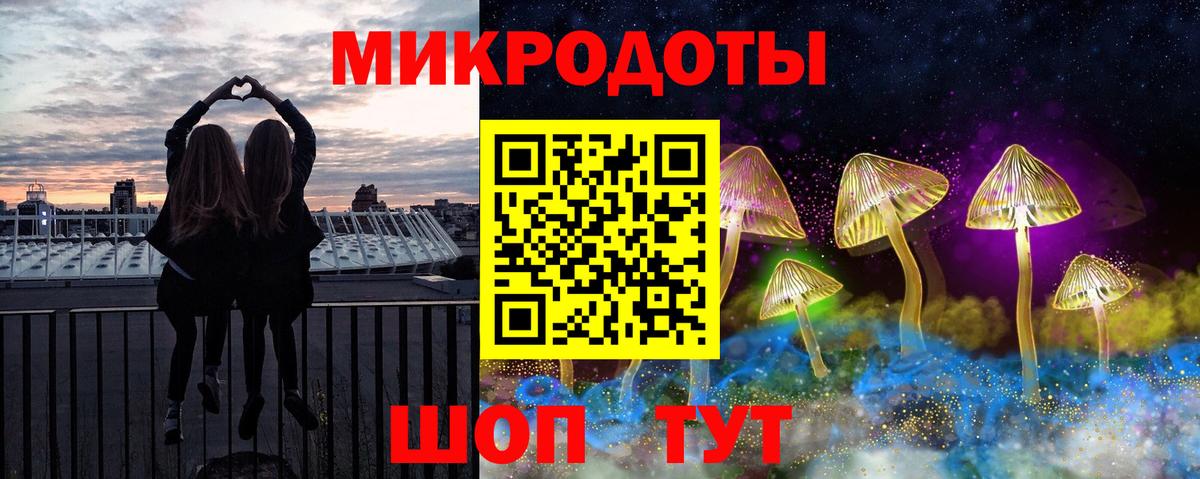Галлюциногенные грибы ЛСД  где продают наркотики  Карачаевск  Вход с VPN  Псилоцибиновые грибы Psilocybe 