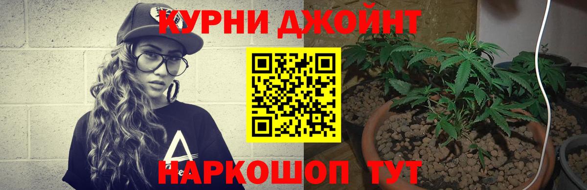 Бошки марихуана гибрид Карачаевск